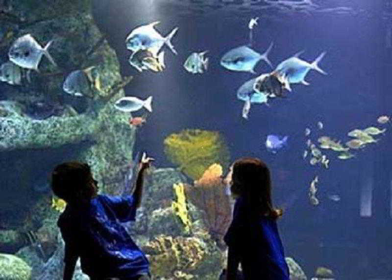 ホテル ベスト ウエスタン タルサ エアポート エクステリア 写真