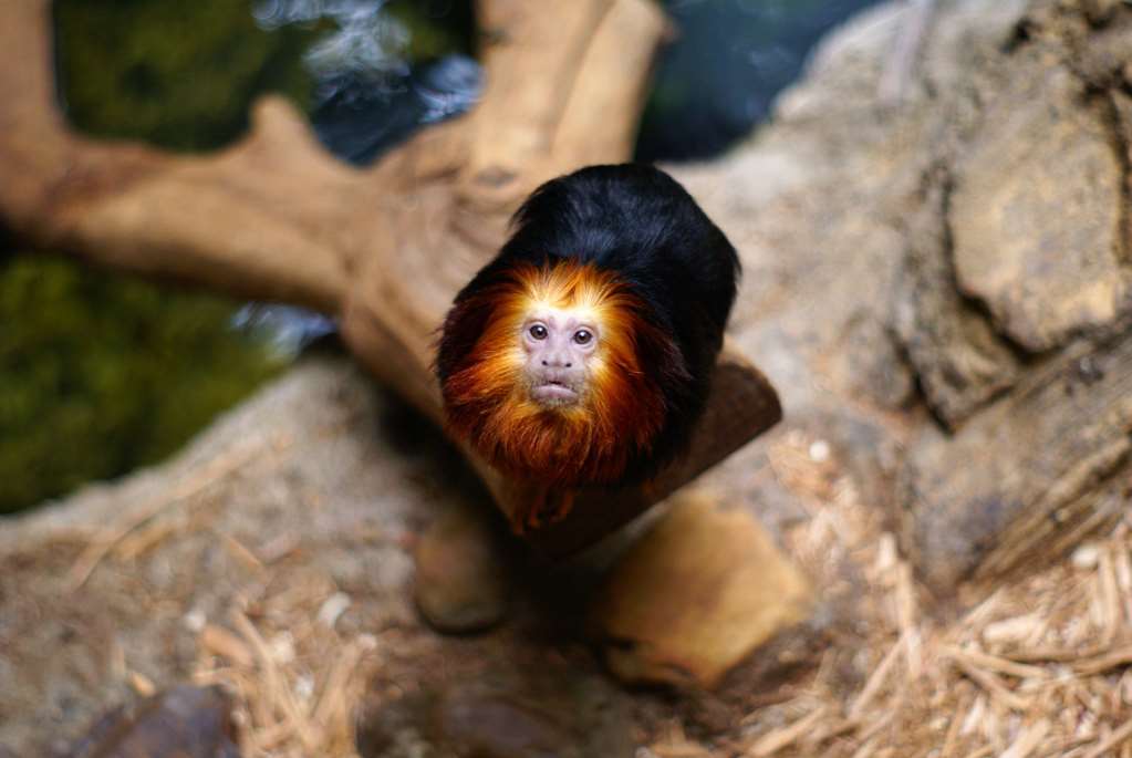 ホテル ベスト ウエスタン タルサ エアポート 設備 写真